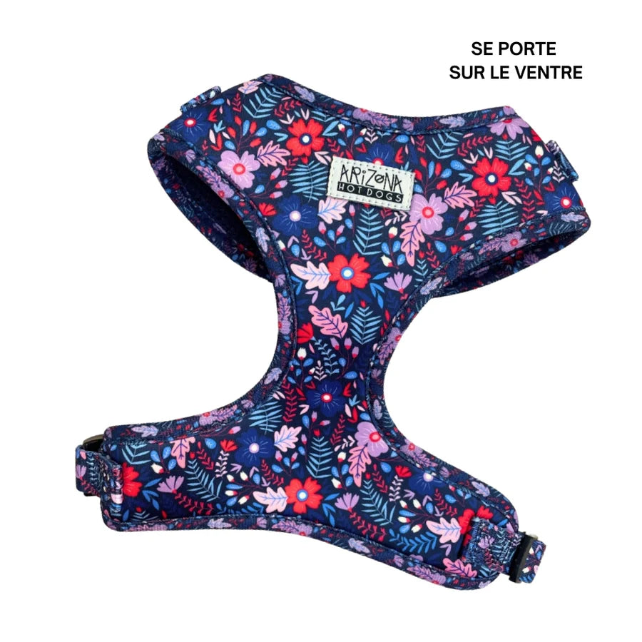 Hundegeschirr für Würstchen
