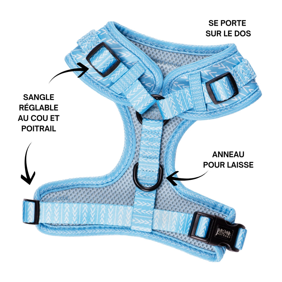 Sellerie Teckel <br> Harnais Bubble Gum Bleu