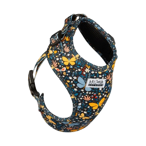 Geschirr für Zwergdackel