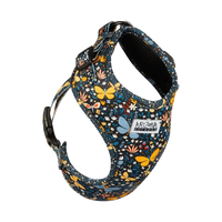 Thumbnail für Geschirr für Zwergdackel