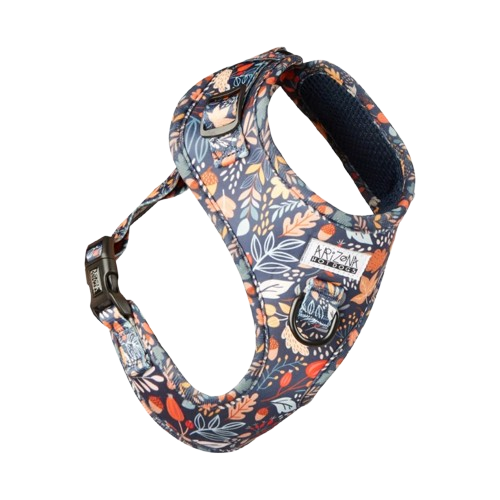 Geschirr für Dackel mit rauem Fell