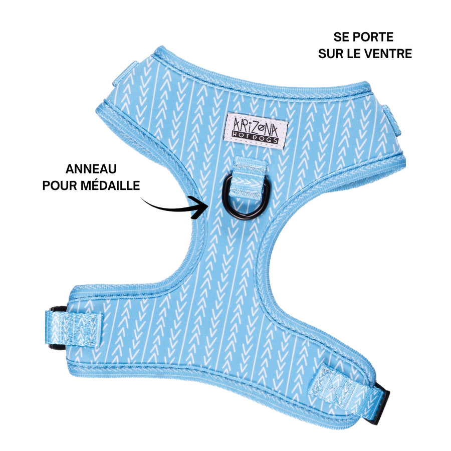 Sellerie Teckel <br> Harnais Bubble Gum Bleu