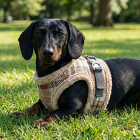 Thumbnail für warmes Fellgeschirr für Dackel