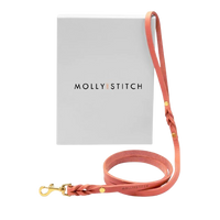 Thumbnail für Sellerie Teckel <br/> -Leine aus Leder Butter Rose