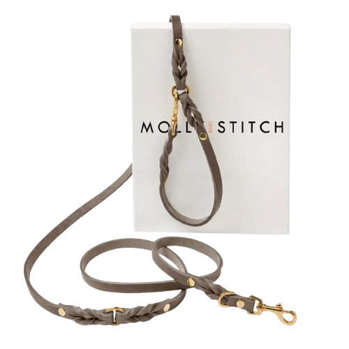 Lange Hundeleine aus Leder in Taupe