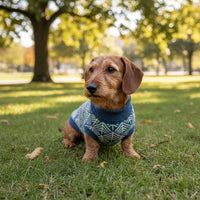 Miniaturbild für Pull Hund Dackel Chic