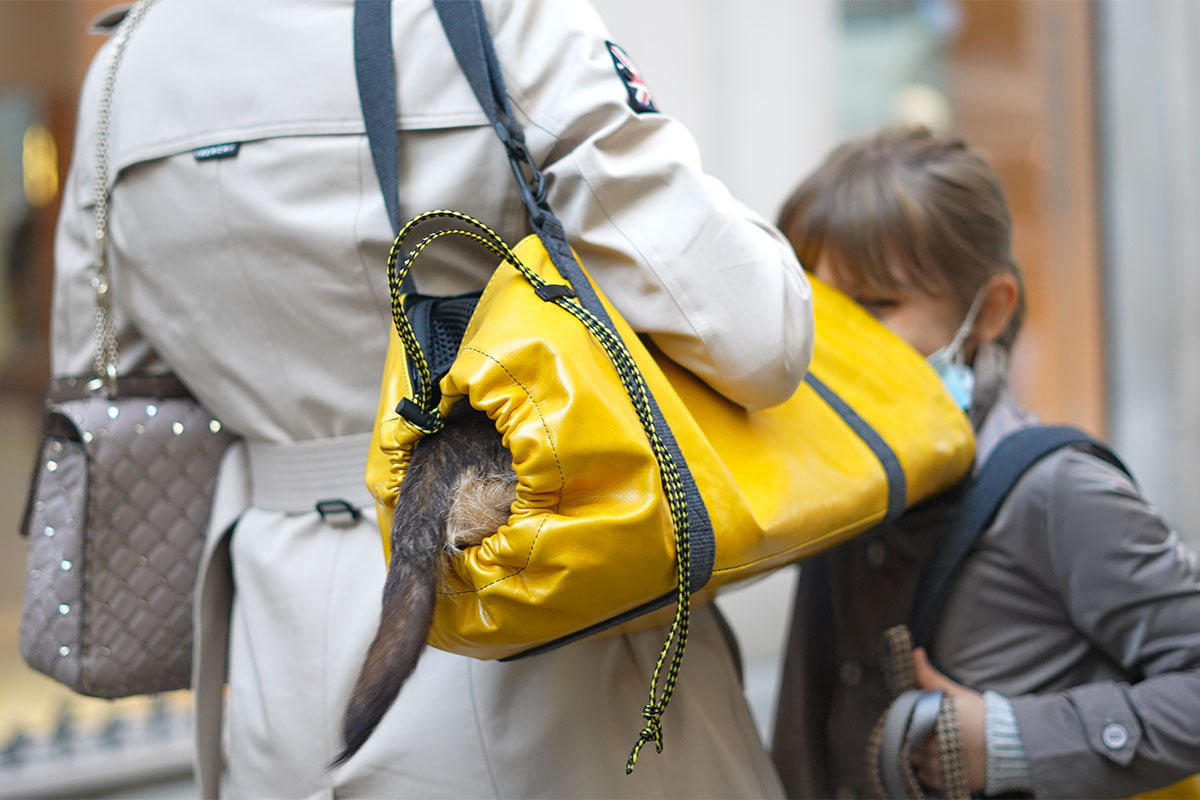 Umhängetasche für Dackel Kaninchen