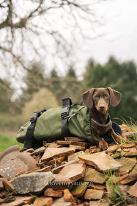 Thumbnail für Transporttasche für Dackel