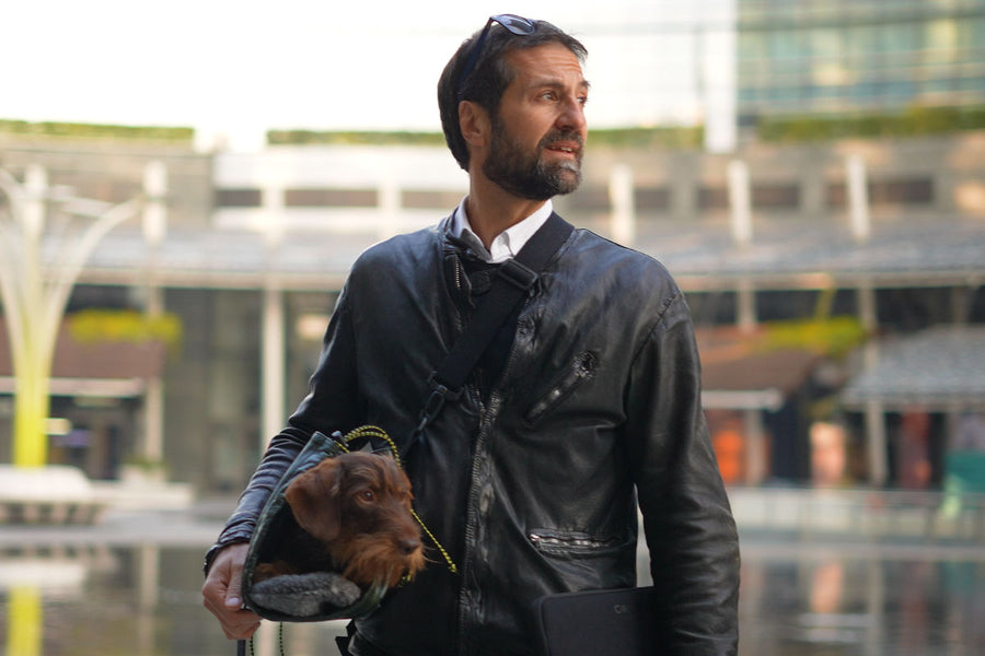 Transporttasche für Zwergdackel