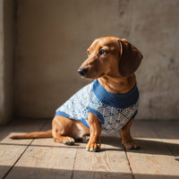 Miniaturbild für Dackel mit schickem Pullover