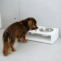 Miniaturbild für Teckel große Fressnapf