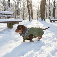 Thumbnail für Dackel Rauhaar Regenmantel