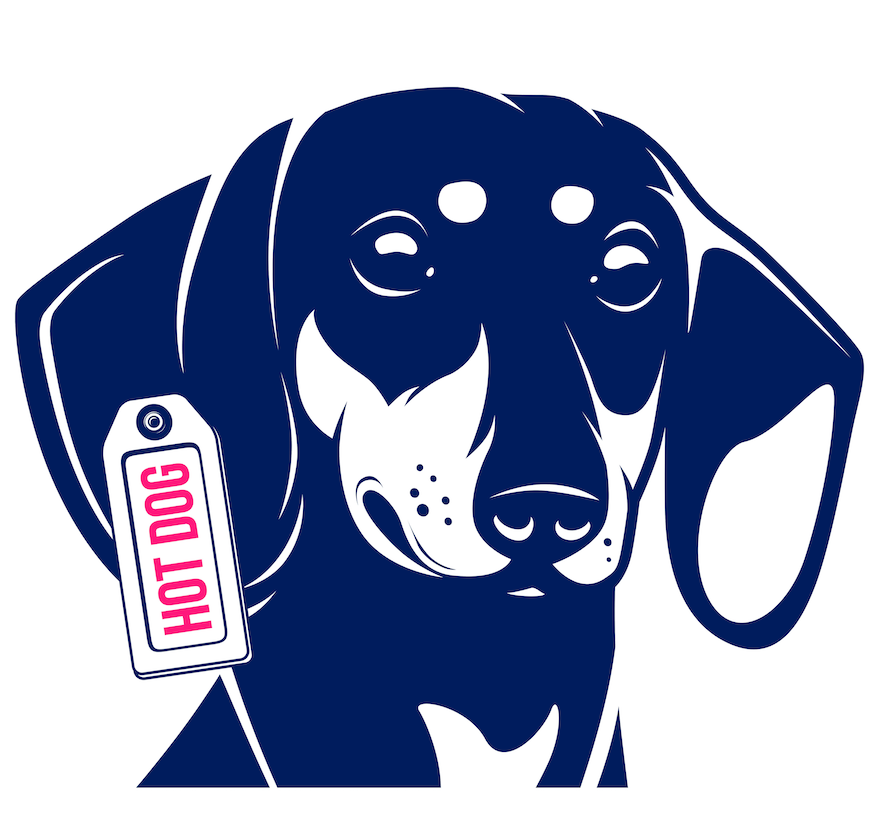 Dackel Kurzhaar Kleidung 