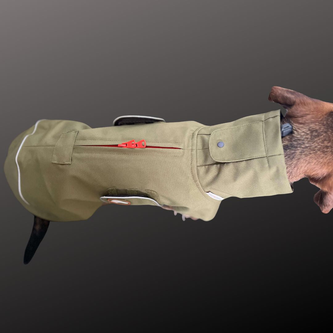 Vêtement Teckel <br> Imperméable Cooper Vert