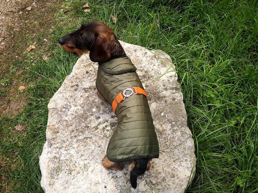 Maßgeschneiderte Jacke für Dackel