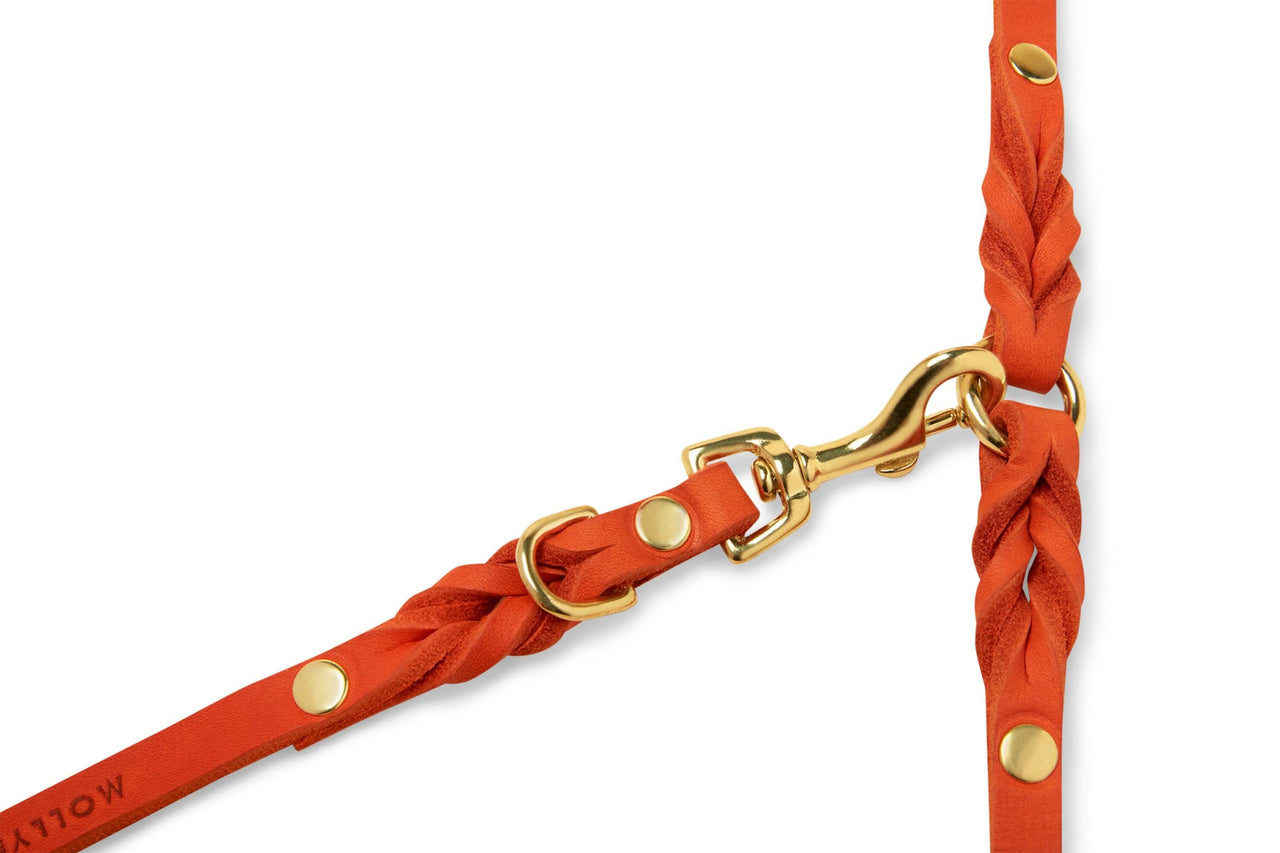 Verstellbare Lederleine für die Stadt