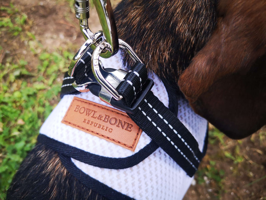 Soho-Geschirrbefestigung für Dackel 