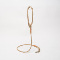 Miniaturbild für Laisse Chien de Luxe