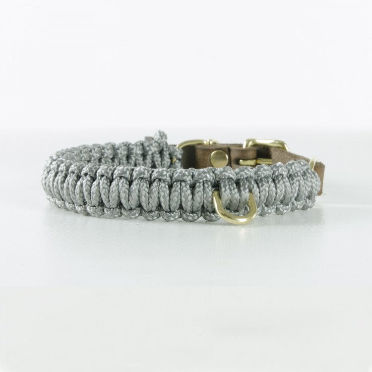 Schicke Hundehalsband