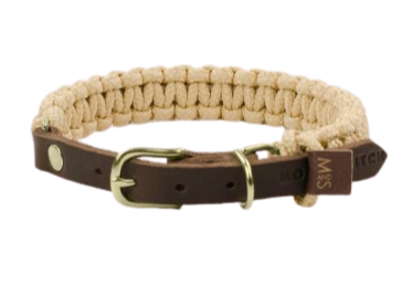 Schicke Halskette für kleine Hunde