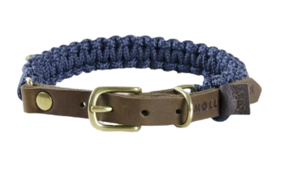 Hundehalsband Blau