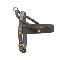 Thumbnail für Ledergeschirr für Hunde