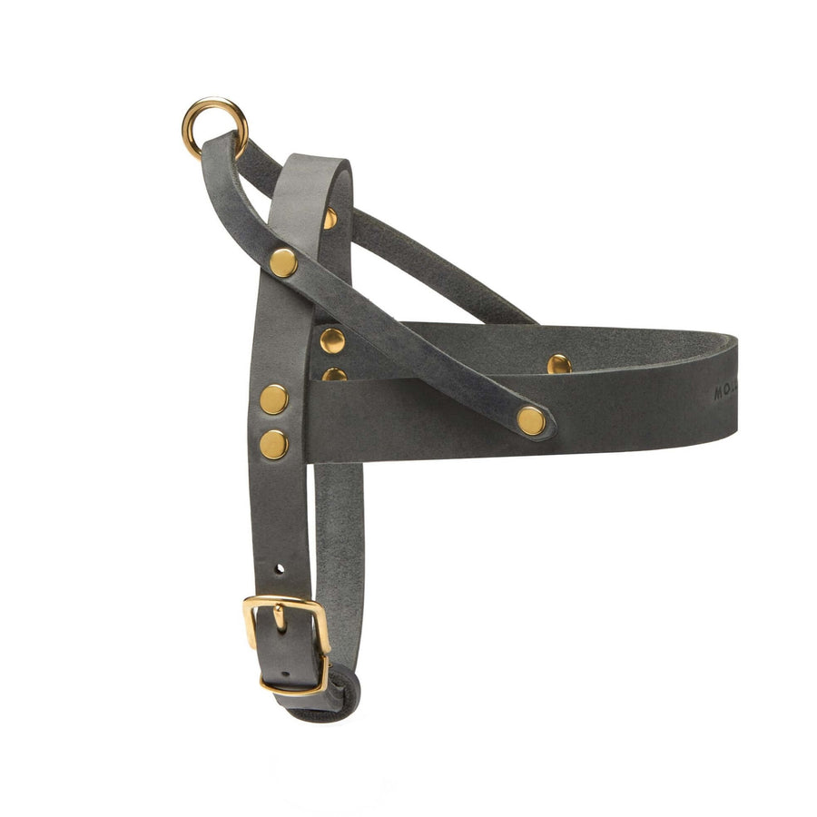 Ledergeschirr für Hunde