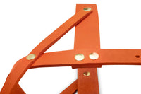 Thumbnail für Sellerie Teckel <br/> -Geschirr aus Leder Butter Mangue