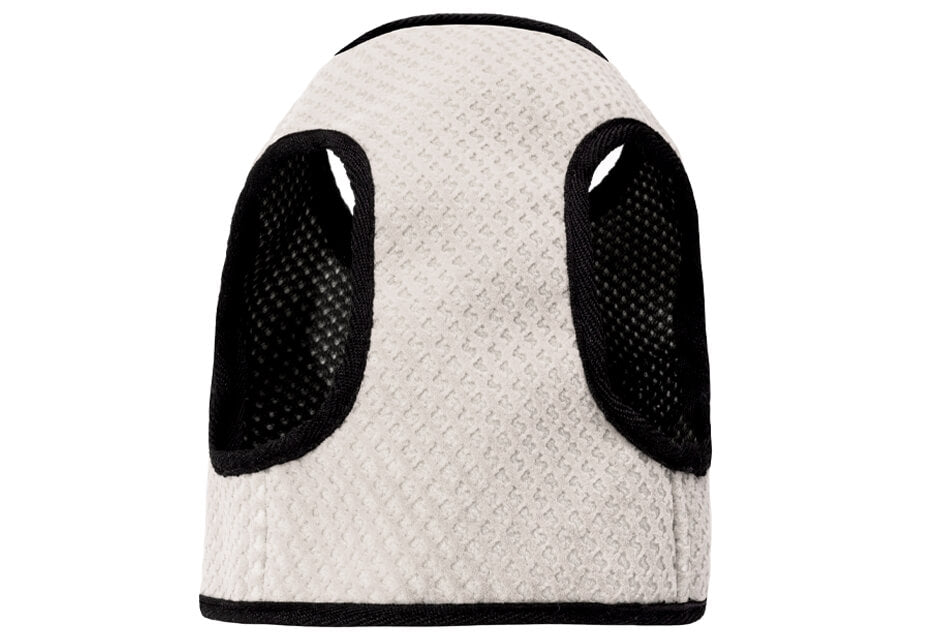 Spezielles Geschirr für Zwergdackel