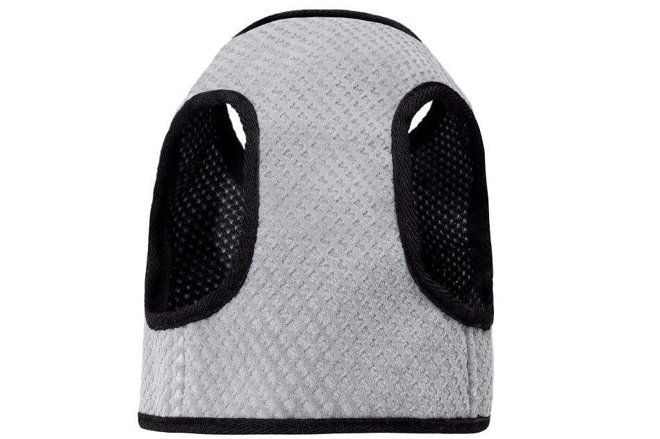 Hundegeschirr für Dackel