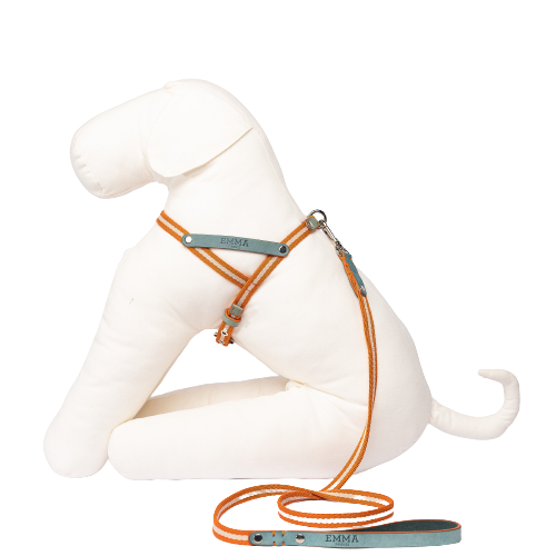 Luxusgeschirr für Dackel