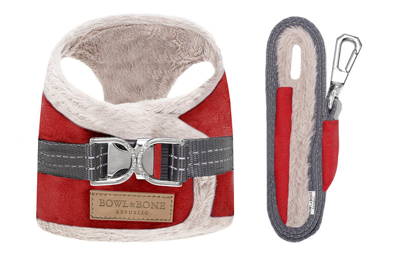 Fellgeschirr und Leine für Dackel