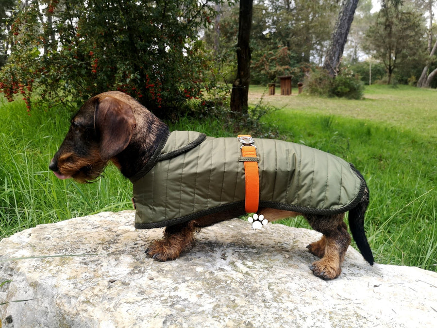 Maßgeschneiderte warme Jacke für Dackel