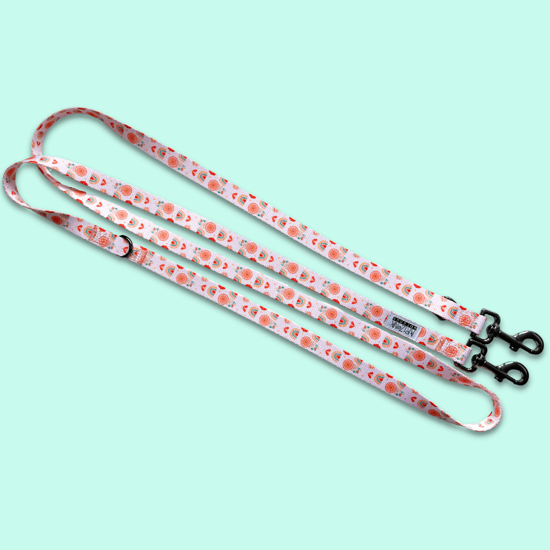 Hundeleine für Dackel