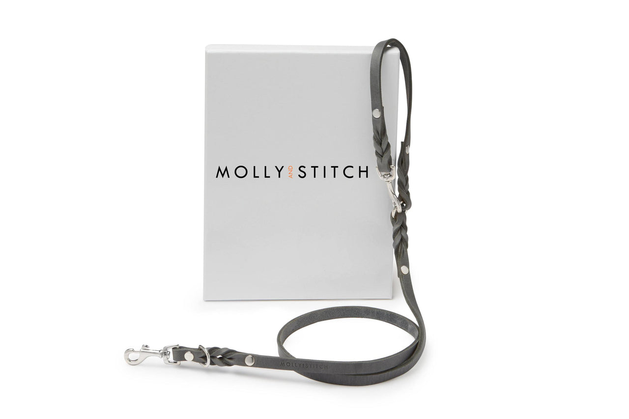 Verstellbare Hundeleine aus Leder, grau