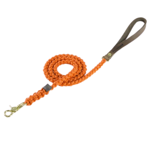 Leine aus Seil und Leder, Luxusausführung