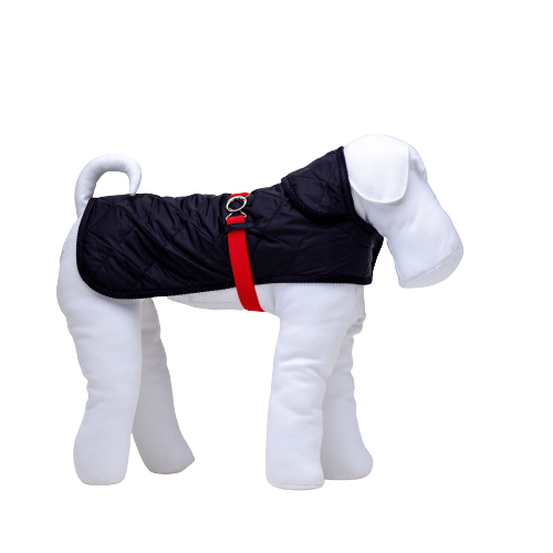 Warme Jacke für Dackel